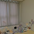 스튜디오 프로그 이미지
