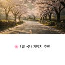 보문카정비 | 3월 국내여행지 추천: 설렘 가득 봄꽃 명소 지금 확인
