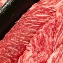 옥탑방노래연습장 이미지