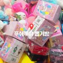 푸쉬푸쉬 인형뽑기방 이미지