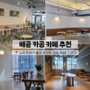 서영메디컬 | 시흥 배곧 카공하기 좋은 카페 3곳 ☕ 공부·노트북 작업하기 딱!