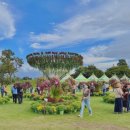 빛(꽃)의정원 이미지