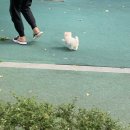 카페놀이터 - 제주시 평화로 2835 | 카페놀이터