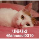 차가네해장국 이미지