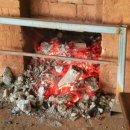 숲을 그리다 이미지