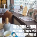 퓨어셀에스테틱
