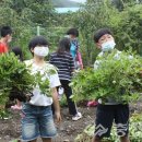 미원초교 금관분교 이미지