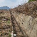 대곡면사무소 이미지