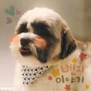 방학동물병원 이미지