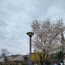 바이유어네일