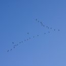 온양용화중학교 이미지