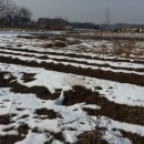 금선농장 이미지