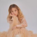 하진정보