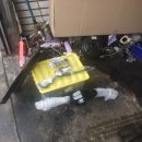 개뼈다구 이미지