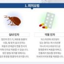 기관지천식 원인 방법 예방법 이미지