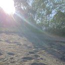 공룡 발자국화석지 이미지