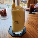 운암애견 이미지