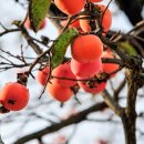 고향길카센터 이미지