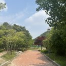 만월산배수지체육광장 이미지