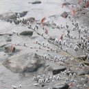 강변살자 이미지