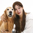 마이노덴탈스튜디오 | [동탄 수원 사진관] 반려동물과 함께하는 특별한 기록, 헤이쏠스튜디오 솔직후기