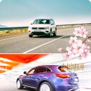 코끼리 카서비스 이미지