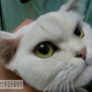 혜인종합동물병원 이미지