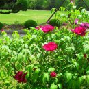 청북중학교 이미지