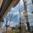 롯데리아 영대병원 이미지