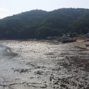 섬초롱민박 이미지