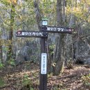 불모산 저수지 내 이미지