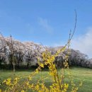 웰빙한우 이미지