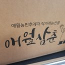 삼춘농산물 | 제주 직송 감귤 배송 애월삼춘 타이벡 감귤 배송 후기!