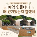 29170-4-A-13 | 캠핑일기 13화-1｜괴산 원더포레스트캠핑장 D1 사이트 후기 A B C D존 위치·동선