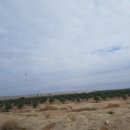 백성달농장 이미지