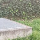 삼겹이운다 이미지