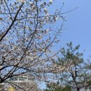 에치를 잘 하고 싶어졌다 (2주동안만...)