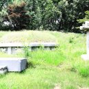 이한규 묘 이미지