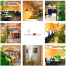 스타 스터디 카페 이미지