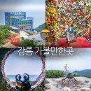 원흥동 648-2 부근 | 강원도 강릉 가볼만한곳 강릉 여행 코스 하슬라아트월드 외