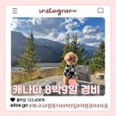 [공지] 캐나다 애견동반 8박9일 캠핑카 여행 비용 얼마 들었을까?