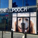 The Pooch 이미지