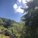 스테이 밭 이미지