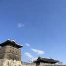 [공지] [행궁동] 수원 행궁동 놀거리 뚜벅이 데이트 코스 추천 | 장미 사진 스팟, 행궁빙수 후기