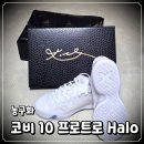 28245-11-23-001 | 코비 10 프로트로 헤일로(Kobe 10 Protro "Halo") 스펙 변화 완벽 정리, 사이즈 선택 팁 및 구입 후기