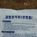 마늘 토양소독 중~ 이미지