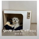 밀리언 | 우드 원목 강아지 집 애견 하우스 펫 하우스 밀리언펫 사용 후기