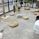 그루밍 라운지 이미지
