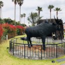 믿거나말거나박물관 이미지