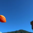 산내면 중황마을 이미지